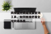 揭秘国外网站流量查询工具,如何精准把握全球网络热度 揭秘国外网站流量查询工具,如何精准把握全球网络热度