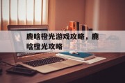 鹿晗橙光游戏攻略，鹿晗橙光攻略