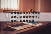 企业网站优化的原则与实践，企业网站优化，原则、实践及实战