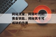 网站流量，网络时代的黄金钥匙，揭秘其不可或缺的作用