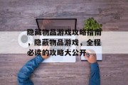 隐藏物品游戏攻略指南，隐蔽物品游戏，全程必读的攻略大公开