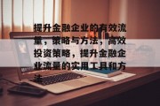 提升金融企业的有效流量,策略与方法,高效投资策略,提升金融企业流量的实用工具和方法 提升金融企业的有效流量,策略与方法,高效投资策略,提升金融企业流量的实用工具和方法