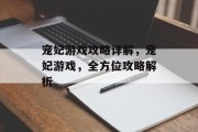 宠妃游戏攻略详解,宠妃游戏,全方位攻略解析 宠妃游戏攻略详解,宠妃游戏,全方位攻略解析