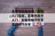 百里荒攻略游戏，新手入门指南，百里荒新手入门，全面攻略分析及实战技巧分享
