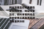 网站流量监控的重要性及实践应用,网站流量监控,实时掌握网络态势的宝贵工具及其实战运用案例分析 网站流量监控的重要性及实践应用,网站流量监控,实时掌握网络态势的宝贵工具及其实战运用案例分析
