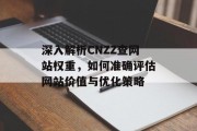 深入解析CNZZ查网站权重，如何准确评估网站价值与优化策略