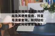 抖音号视频流量查询网站及其使用指南，抖音号流量查询，如何轻松获取官网和使用指南？