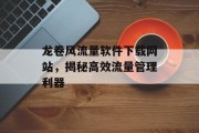 龙卷风流量软件下载网站，揭秘高效流量管理利器