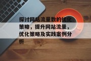 探讨网站流量数的优化策略，提升网站流量，优化策略及实践案例分析