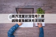 蒸汽流量计没信号？原因排查及解决方法详解