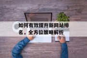 如何有效提升新网站排名,全方位策略解析 如何有效提升新网站排名,全方位策略解析