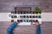 付费流量提升的策略与实践，付费流量提升实战，策略与实践指南
