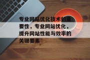 专业网站优化技术的重要性,专业网站优化,提升网站性能与效率的关键要素 专业网站优化技术的重要性,专业网站优化,提升网站性能与效率的关键要素