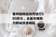 泰州新网站如何进行SEO优化,全面攻略助力网站快速崛起 泰州新网站如何进行SEO优化,全面攻略助力网站快速崛起