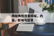 揭秘男性流量网站,内容、影响与监管 揭秘男性流量网站,内容、影响与监管