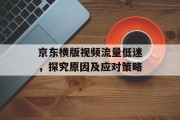 京东横版视频流量低迷,探究原因及应对策略 京东横版视频流量低迷,探究原因及应对策略