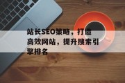 站长SEO策略,打造高效网站,提升搜索引擎排名 站长SEO策略,打造高效网站,提升搜索引擎排名