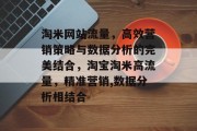 淘米网站流量，高效营销策略与数据分析的完美结合，淘宝淘米高流量，精准营销,数据分析相结合