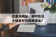 流量王网站，如何在这个信息时代脱颖而出？