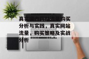 真实国内网站流量购买分析与实践，真实网站流量，购买策略及实战分析