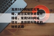 龙岗SEO网站优化策略，助您实现快速提升排名，龙岗SEO网站优化，高效提升排名的秘密武器