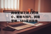 网络营销之路上的SEO,策略与技巧,网络营销,SEO实战指南 网络营销之路上的SEO,策略与技巧,网络营销,SEO实战指南