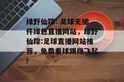 绿野仙踪: 足球无插件绿色直播网站,绿野仙踪:足球直播网站推荐,免费看球踢得飞起! 绿野仙踪: 足球无插件绿色直播网站,绿野仙踪:足球直播网站推荐,免费看球踢得飞起!