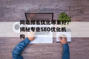 网站排名优化哪里好？揭秘专业SEO优化机构