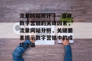 流量网站统计——洞察数字营销的关键因素，流量网站分析，关键要素揭示数字营销中的成功之道