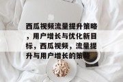 西瓜视频流量提升策略，用户增长与优化新目标，西瓜视频，流量提升与用户增长的策略