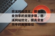慈溪网站优化，提升企业效率的关键步骤，慈溪网站优化，提高企业效率的关键路径