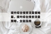 提升综合搜索流量策略篇,提升综合搜索流量策略,全面指南