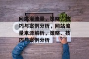 网站灌流量，策略、技巧与案例分析，网站流量来源解析，策略、技巧与案例分析