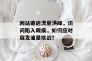 网站遭遇流量洪峰,访问陷入瘫痪,如何应对突发流量挑战? 网站遭遇流量洪峰,访问陷入瘫痪,如何应对突发流量挑战?