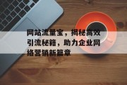 网站流量宝,揭秘高效引流秘籍,助力企业网络营销新篇章 网站流量宝,揭秘高效引流秘籍,助力企业网络营销新篇章