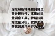深度解析特斯拉网站流量分析软件，实用的流量洞察工具，特斯拉网站流量分析，软件工具帮你洞悉用户行为趋势