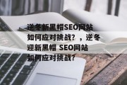 逆冬新黑帽SEO网站如何应对挑战?,逆冬迎新黑帽 SEO网站如何应对挑战? 逆冬新黑帽SEO网站如何应对挑战?,逆冬迎新黑帽 SEO网站如何应对挑战?