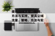 提升公域流量,策略、方法与实践,提高公域流量,策略、方法与实践 提升公域流量,策略、方法与实践,提高公域流量,策略、方法与实践