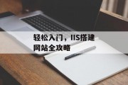 轻松入门,IIS搭建网站全攻略 轻松入门,IIS搭建网站全攻略
