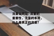 流量仙网站: 流量的重要性,流量的本质,什么是真正的流量? 流量仙网站: 流量的重要性,流量的本质,什么是真正的流量?