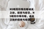 NS明亮珍珠攻略通关之旅，探索与收获，NS明亮珍珠攻略，通关之旅的探索与收获