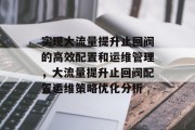 实现大流量提升止回阀的高效配置和运维管理,大流量提升止回阀配置运维策略优化分析