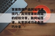 掌握数据产品网站搭建技巧，高效搭建新网站的经验分享，新网站搭建，从零到成功必备技巧分享