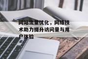 网站流量优化,网络技术助力提升访问量与用户体验 网站流量优化,网络技术助力提升访问量与用户体验