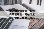 探讨网站流量量,如何有效管理它,网站流量量的管理,策略与技巧 探讨网站流量量,如何有效管理它,网站流量量的管理,策略与技巧