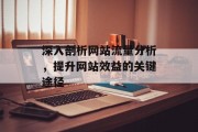 深入剖析网站流量分析,提升网站效益的关键途径 深入剖析网站流量分析,提升网站效益的关键途径