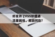 虾皮开了FSS却遭遇流量困境,原因何在? 虾皮开了FSS却遭遇流量困境,原因何在?