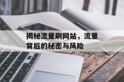 揭秘流量刷网站，流量背后的秘密与风险