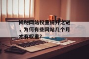 揭秘网站权重提升之谜，为何有些网站几个月才有权重？