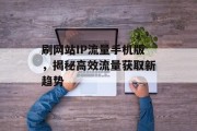 刷网站IP流量手机版,揭秘高效流量获取新趋势 刷网站IP流量手机版,揭秘高效流量获取新趋势